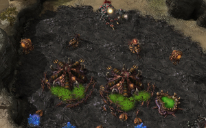 The Swarmling subspecies of Zergling hatches 3 to an egg instead of 2.